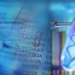 Did contemporary Jews descend from Ancient Israelites? Or did they descend from people converted to Judaism?